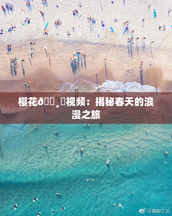 樱花🌸‌视频：揭秘春天的浪漫之旅