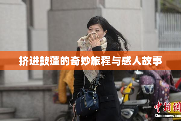 挤进鼓蓬的奇妙旅程与感人故事