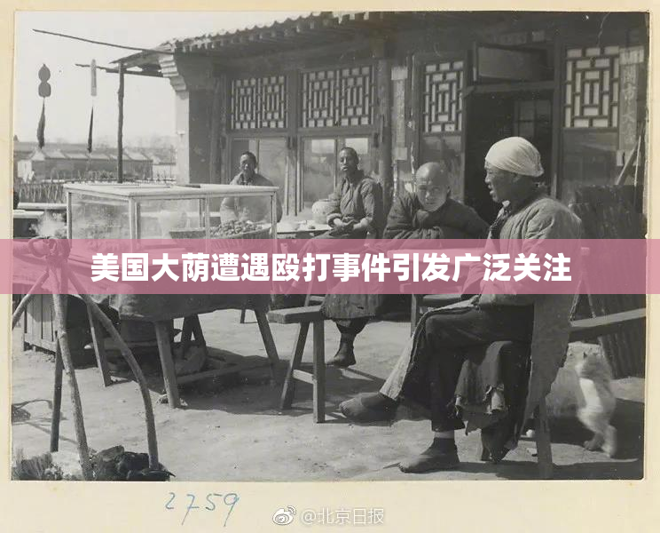 美国大荫遭遇殴打事件引发广泛关注