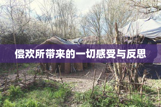 偿欢所带来的一切感受与反思