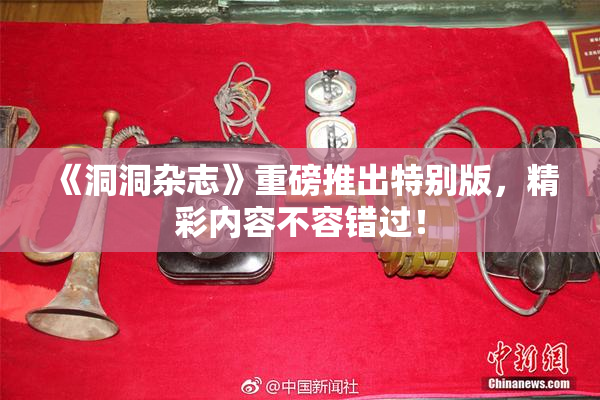 《洞洞杂志》重磅推出特别版，精彩内容不容错过！