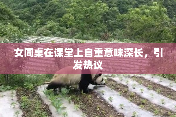 女同桌在课堂上自重意味深长，引发热议