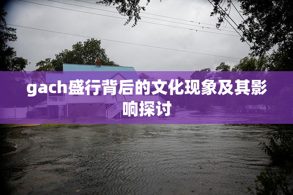 gach盛行背后的文化现象及其影响探讨