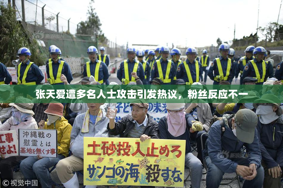 张天爱遭多名人士攻击引发热议，粉丝反应不一