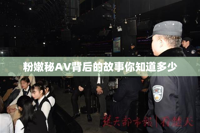 粉嫩秘AV背后的故事你知道多少