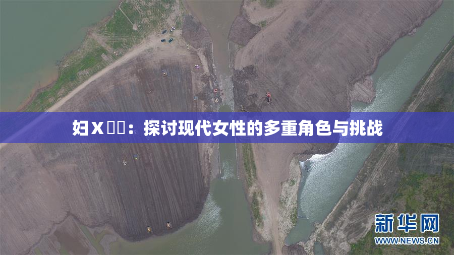 妇Ⅹ乄乂：探讨现代女性的多重角色与挑战