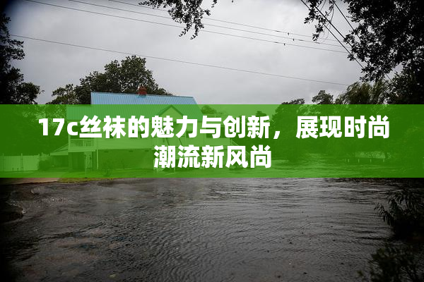 17c丝袜的魅力与创新，展现时尚潮流新风尚