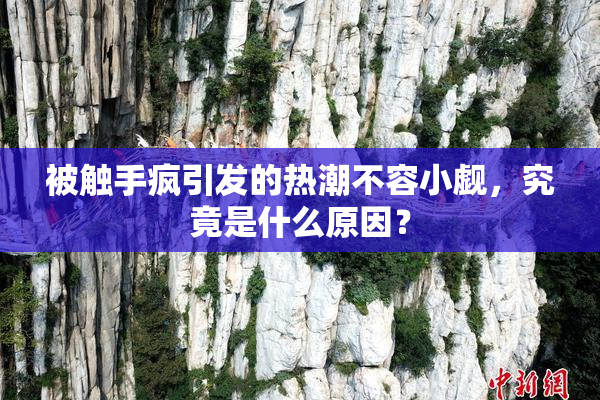 被触手疯引发的热潮不容小觑，究竟是什么原因？
