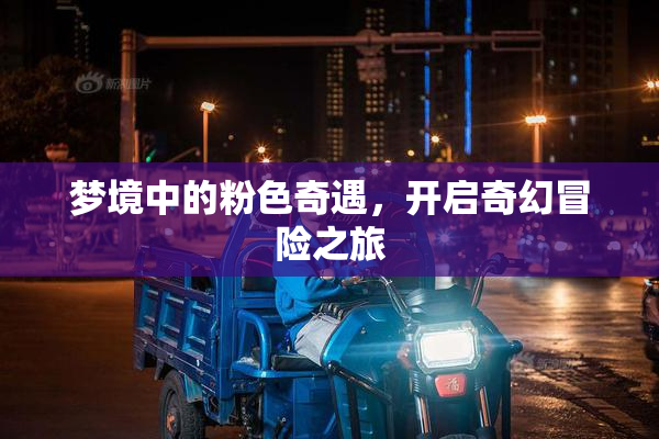 梦境中的粉色奇遇，开启奇幻冒险之旅