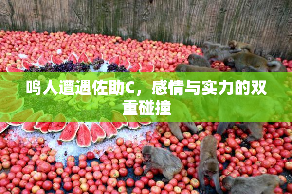 鸣人遭遇佐助C，感情与实力的双重碰撞