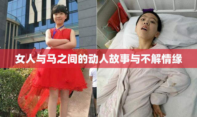 女人与马之间的动人故事与不解情缘