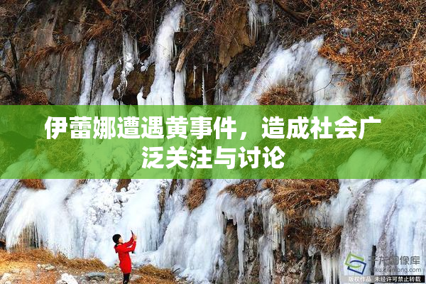 伊蕾娜遭遇黄事件，造成社会广泛关注与讨论