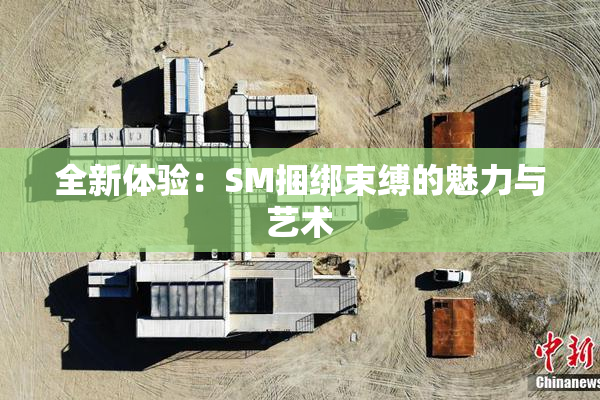 全新体验：SM捆绑束缚的魅力与艺术