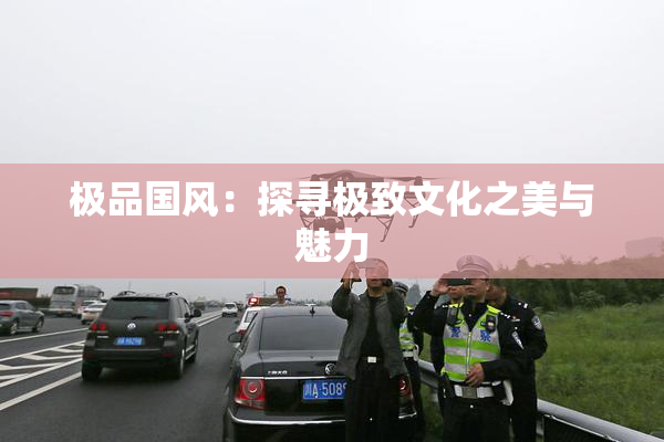 极品国风：探寻极致文化之美与魅力