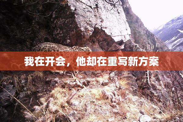 我在开会，他却在重写新方案