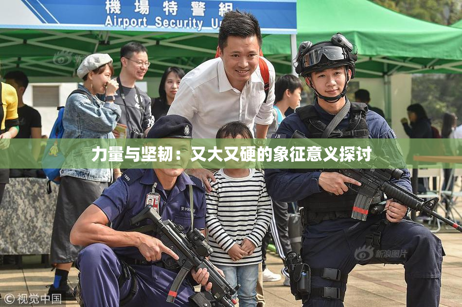 力量与坚韧：又大又硬的象征意义探讨