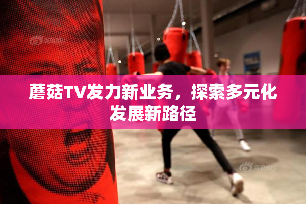 蘑菇TV发力新业务，探索多元化发展新路径