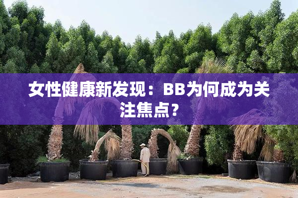 女性健康新发现：BB为何成为关注焦点？