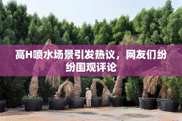 高H喷水场景引发热议，网友们纷纷围观评论