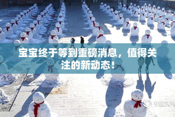 宝宝终于等到重磅消息，值得关注的新动态！