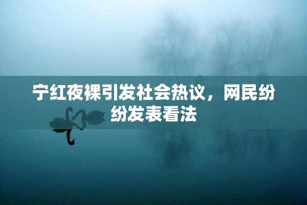 宁红夜裸引发社会热议，网民纷纷发表看法