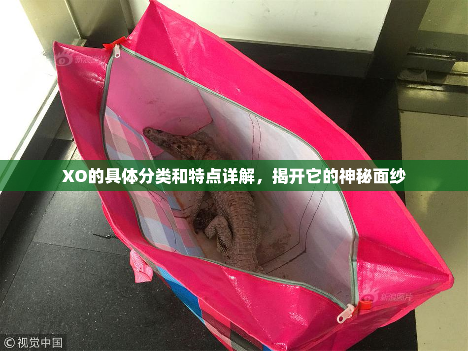 XO的具体分类和特点详解，揭开它的神秘面纱