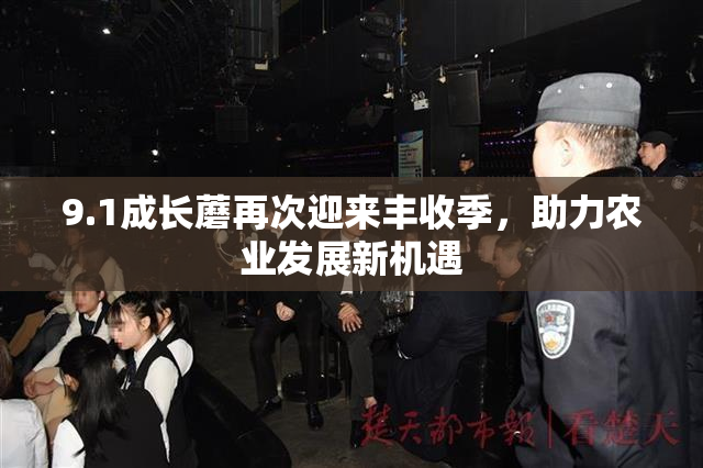 9.1成长蘑再次迎来丰收季，助力农业发展新机遇