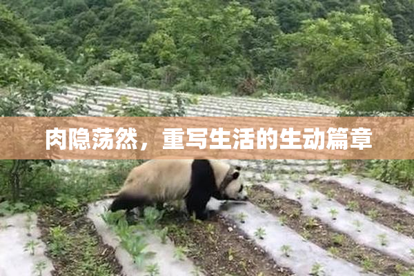 肉隐荡然，重写生活的生动篇章