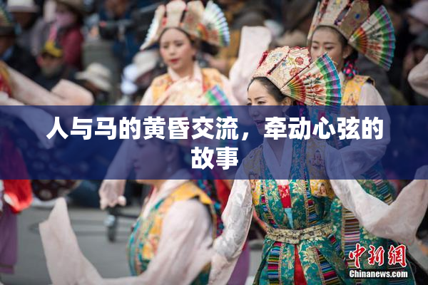 人与马的黄昏交流，牵动心弦的故事