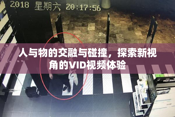 人与物的交融与碰撞，探索新视角的VID视频体验
