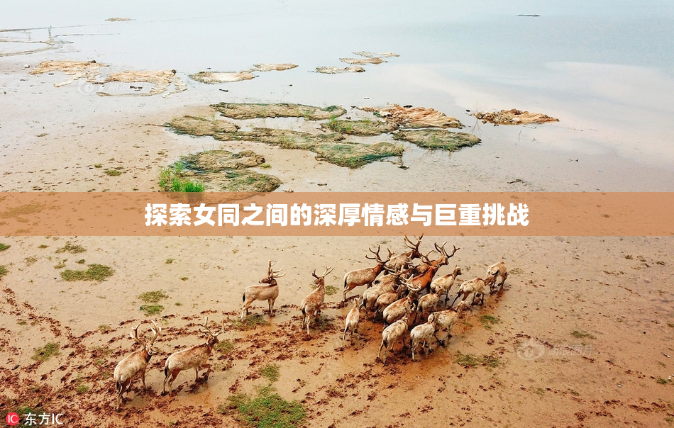 探索女同之间的深厚情感与巨重挑战