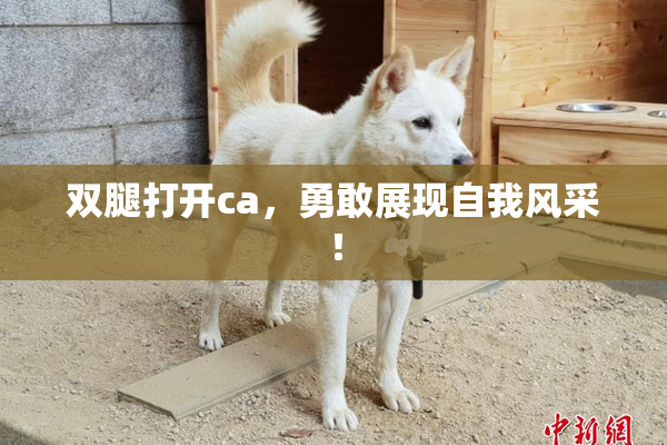 双腿打开ca，勇敢展现自我风采！