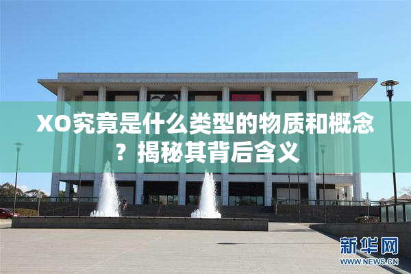 XO究竟是什么类型的物质和概念？揭秘其背后含义