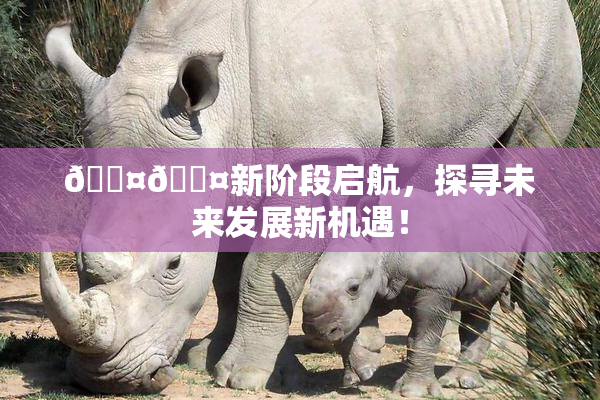 🐤🐤新阶段启航，探寻未来发展新机遇！