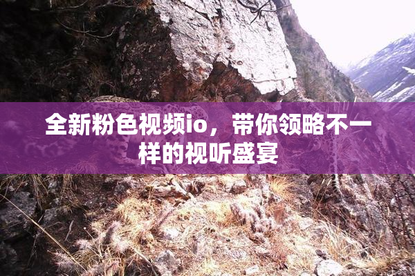 全新粉色视频io，带你领略不一样的视听盛宴