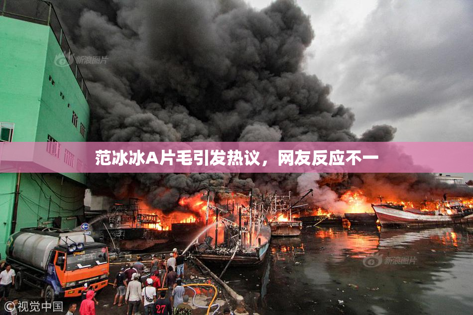范冰冰A片毛引发热议，网友反应不一