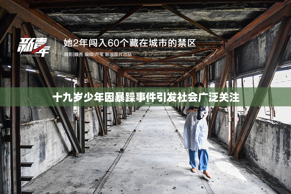 十九岁少年因暴躁事件引发社会广泛关注