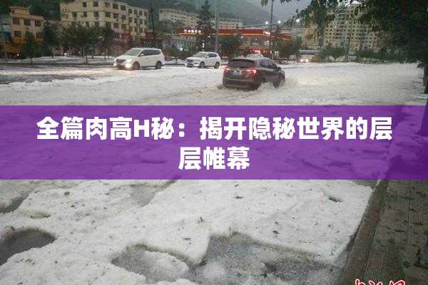 全篇肉高H秘：揭开隐秘世界的层层帷幕