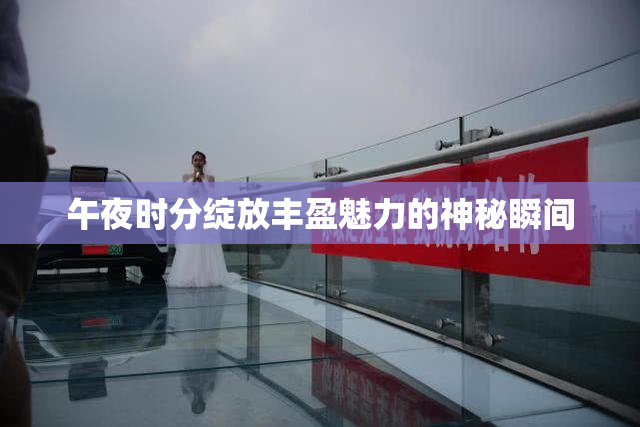 午夜时分绽放丰盈魅力的神秘瞬间
