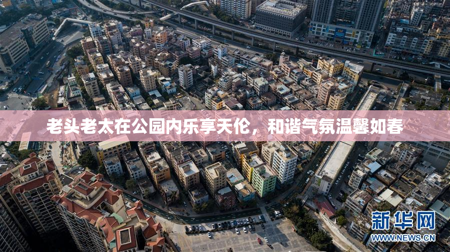 老头老太在公园内乐享天伦，和谐气氛温馨如春