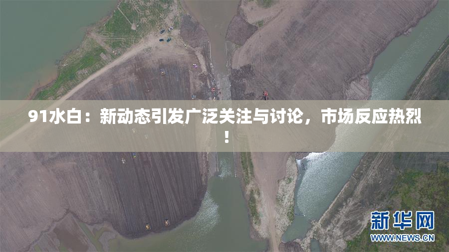 91水白：新动态引发广泛关注与讨论，市场反应热烈！
