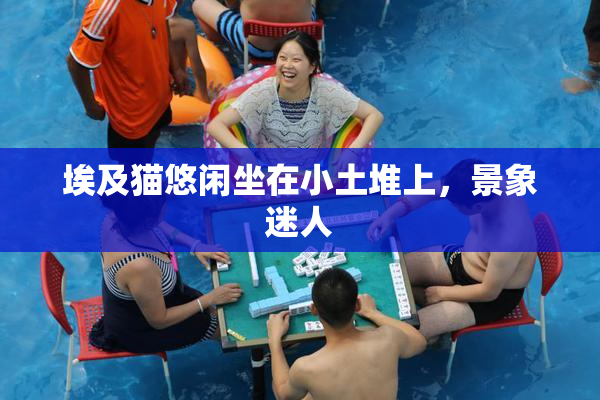 埃及猫悠闲坐在小土堆上，景象迷人