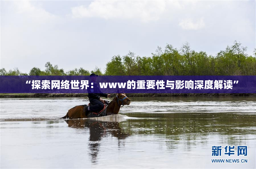 “探索网络世界：www的重要性与影响深度解读”
