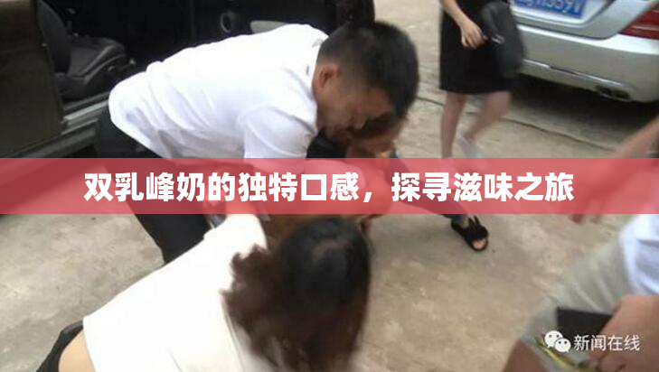 双乳峰奶的独特口感，探寻滋味之旅