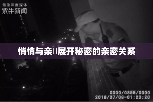 悄悄与亲妺展开秘密的亲密关系