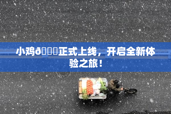 小鸡🐔正式上线，开启全新体验之旅！