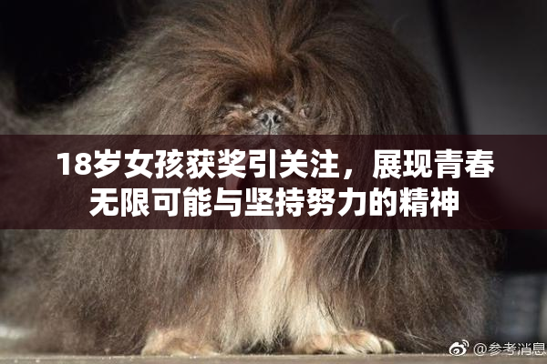 18岁女孩获奖引关注，展现青春无限可能与坚持努力的精神
