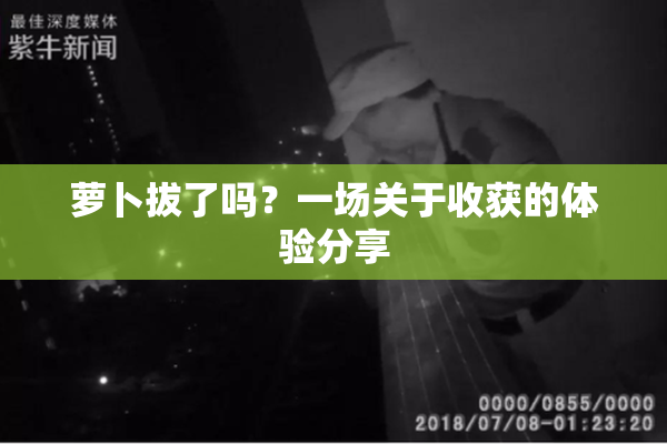 萝卜拔了吗？一场关于收获的体验分享