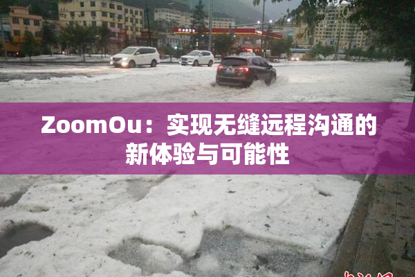 ZoomOu：实现无缝远程沟通的新体验与可能性