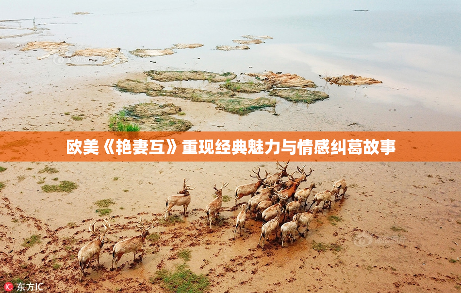 欧美《艳妻互》重现经典魅力与情感纠葛故事